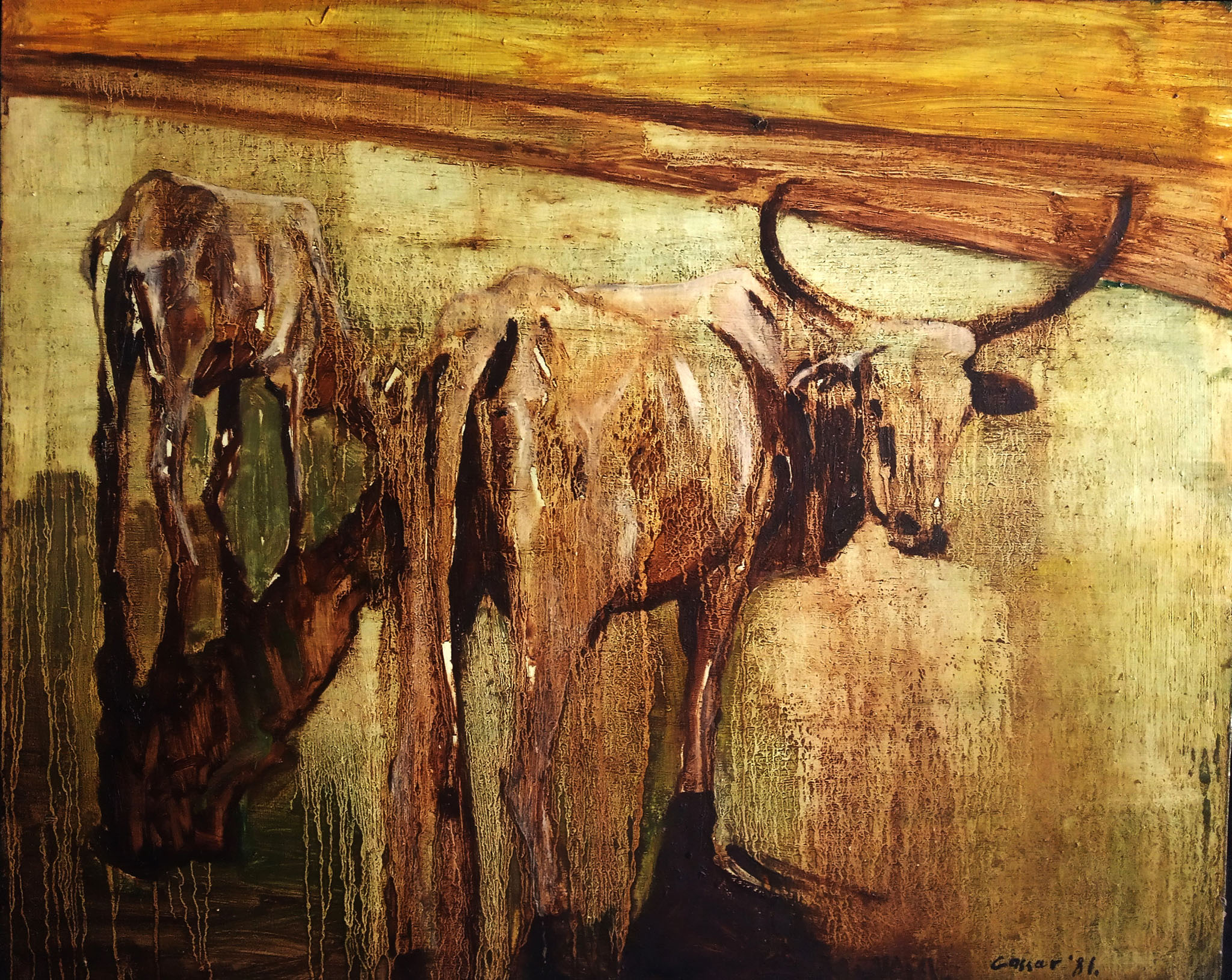 Oxen – Oil on canvas, 48 x 75cm, Signed, 1981