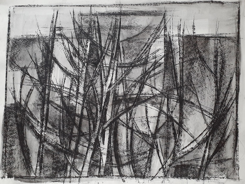 Trees II, Charcoal, Ink and Wash, 30x 48cm, Signed, Undated