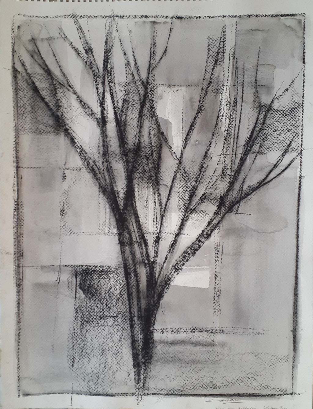View from a Window The Tree, Charcoal, Ink and Wash,  48 x 30cm, Signed, Undated